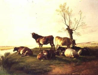 Canterbury Meadows